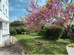 t3 à la vente -   17000  LA ROCHELLE, surface 63 m2 vente t3 - UBI468227447